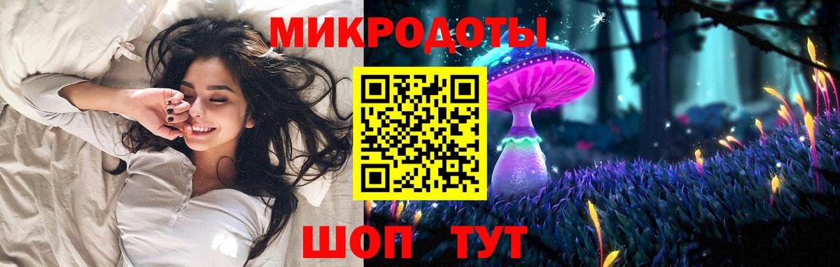 Северобайкальск  Галлюциногенные грибы мицелий  Вход с VPN 